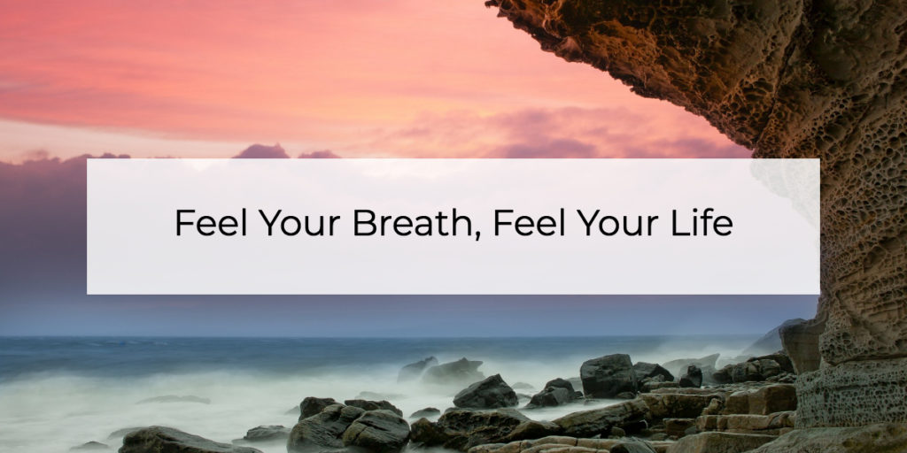 Feel Your Breath, Feel Your Life